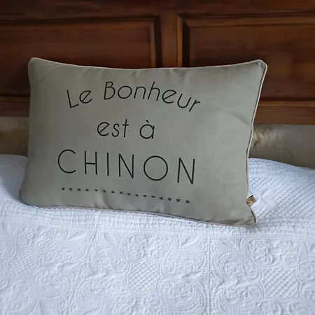 Gite La Comete Chinon Exterior photo